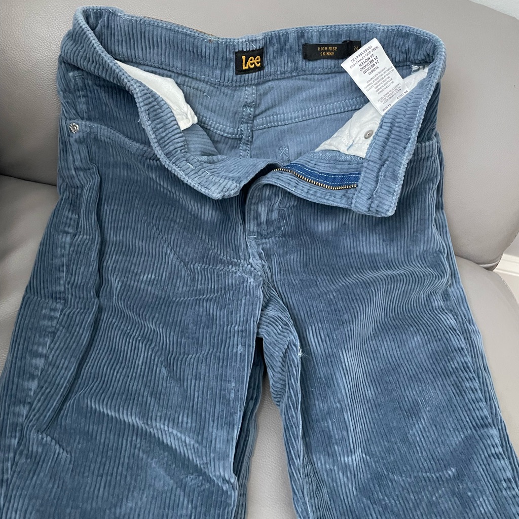 Lee HighRise Skinny Corduroy Pants In Slate Blue